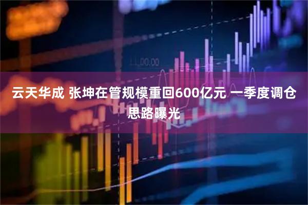 云天华成 张坤在管规模重回600亿元 一季度调仓思路曝光