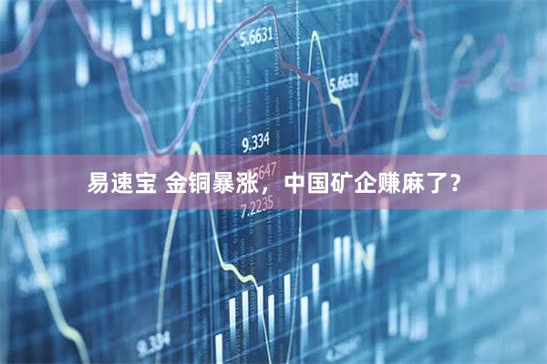 易速宝 金铜暴涨，中国矿企赚麻了？